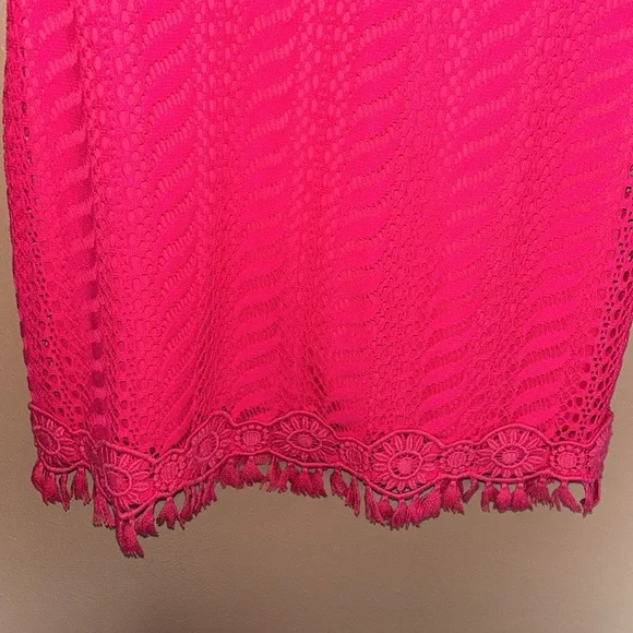 Lilly Pulitzer Seminole Knit Pomegranate Pink Crochet Lace Dress Women's Sz M - Picture 4 of 7